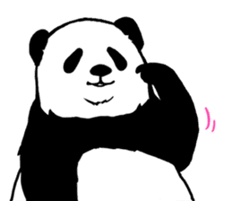 Panda Panda Panda2 sticker #6967283