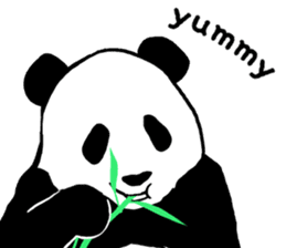Panda Panda Panda2 sticker #6967286