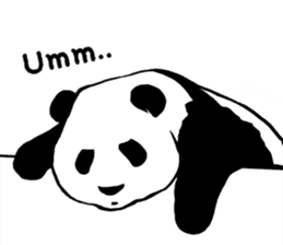 Panda Panda Panda2 sticker #6967289
