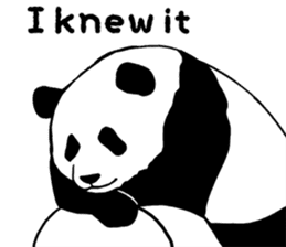 Panda Panda Panda2 sticker #6967304