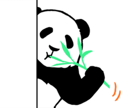 Panda Panda Panda2 sticker #6967310
