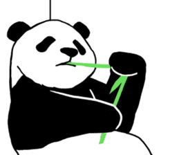 Panda Panda Panda2 sticker #6967319