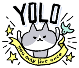 NIKU-Q English sticker #6968010