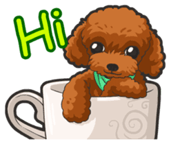 Hi! Poodles sticker #6968603