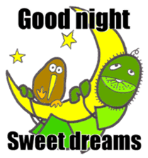 Kiwi boy & Kiwi bird sticker #6969641