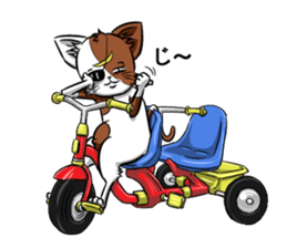 Masamune of cat looking here sticker #6969960