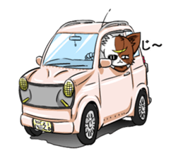 Masamune of cat looking here sticker #6969962