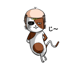 Masamune of cat looking here sticker #6969966