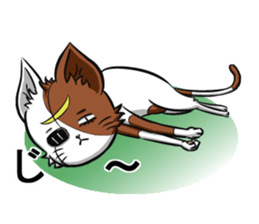 Masamune of cat looking here sticker #6969973