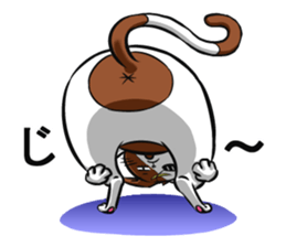 Masamune of cat looking here sticker #6969974