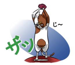 Masamune of cat looking here sticker #6969978