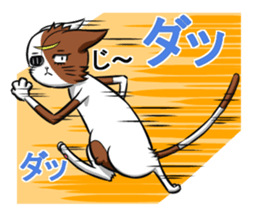 Masamune of cat looking here sticker #6969979