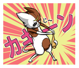 Masamune of cat looking here sticker #6969980