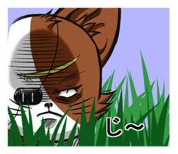 Masamune of cat looking here sticker #6969988