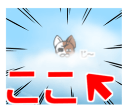 Masamune of cat looking here sticker #6969999