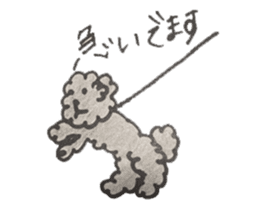 mamesuke hayashi(toy poodle) sticker #6971933