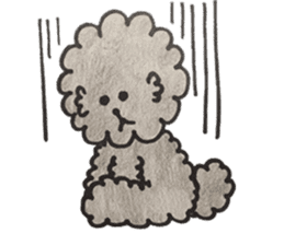 mamesuke hayashi(toy poodle) sticker #6971949