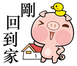 Pig who like to play in water sticker #6973291