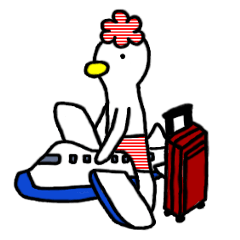 Travel favorite bird