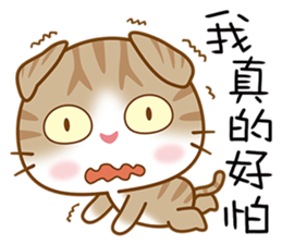 little kittens sticker #6976756