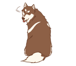 1 day of Siberian Husky sticker #6977773