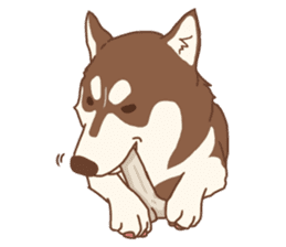 1 day of Siberian Husky sticker #6977783