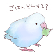 chirp chirp bird sticker #6977924
