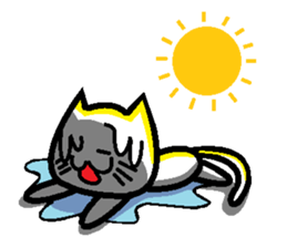 Foolish Cats Everyday Life sticker #6980604