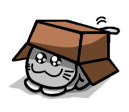 Foolish Cats Everyday Life sticker #6980625