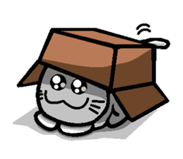 Foolish Cats Everyday Life sticker #6980625