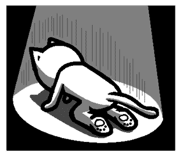 Foolish Cats Everyday Life sticker #6980630