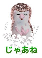 Hedgehog & rabbit sticker #6981883