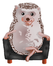 Hedgehog & rabbit sticker #6981886