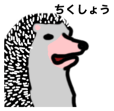 Hedgehog & rabbit sticker #6981891