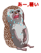 Hedgehog & rabbit sticker #6981896