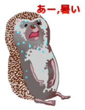 Hedgehog & rabbit sticker #6981896