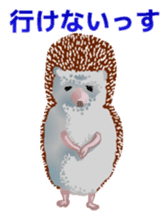 Hedgehog & rabbit sticker #6981899