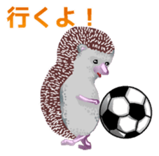 Hedgehog & rabbit sticker #6981900