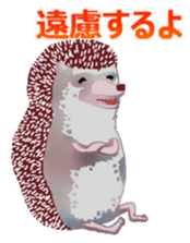 Hedgehog & rabbit sticker #6981901