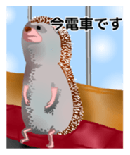Hedgehog & rabbit sticker #6981905