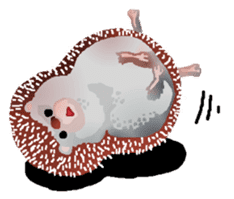 Hedgehog & rabbit sticker #6981908