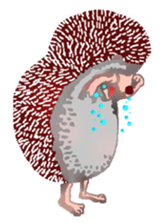 Hedgehog & rabbit sticker #6981911