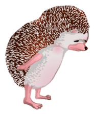 Hedgehog & rabbit sticker #6981914
