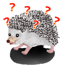 Hedgehog & rabbit sticker #6981915