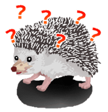 Hedgehog & rabbit sticker #6981915