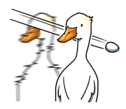 Quack Quack Duck Talk (part 2) sticker #6983314