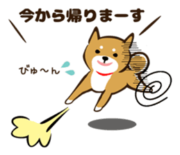 Shiba Inu san vol.2 sticker #6983793