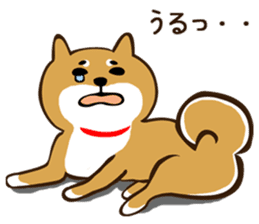 Shiba Inu san vol.2 sticker #6983800