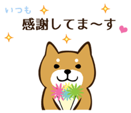 Shiba Inu san vol.2 sticker #6983807