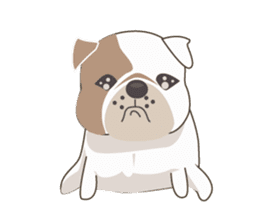 Mr. Dre the English Bulldog sticker #6984694